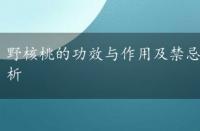 野核桃的功效与作用及禁忌，野核桃的功效与作用解析