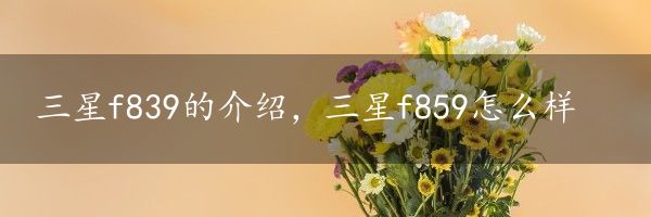 三星f839的介绍，三星f859怎么样