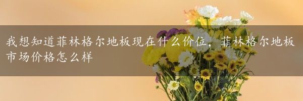 我想知道菲林格尔地板现在什么价位，菲林格尔地板市场价格怎么样