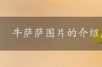 牛萨萨图片的介绍，牛萨萨的做法