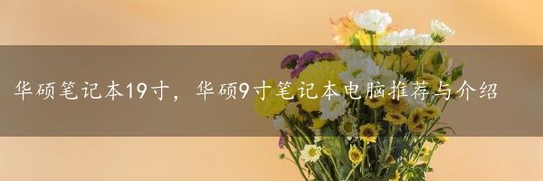 华硕笔记本19寸，华硕9寸笔记本电脑推荐与介绍