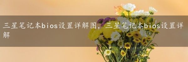 三星笔记本bios设置详解图，三星笔记本bios设置详解