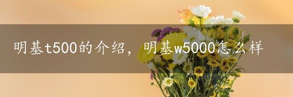 明基t500的介绍，明基w5000怎么样