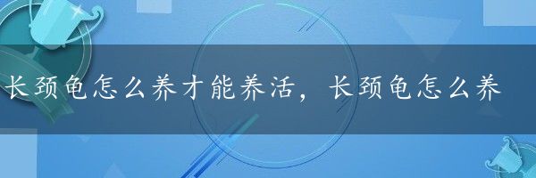 长颈龟怎么养才能养活，长颈龟怎么养