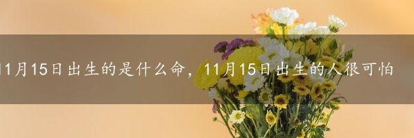 11月15日出生的是什么命，11月15日出生的人很可怕