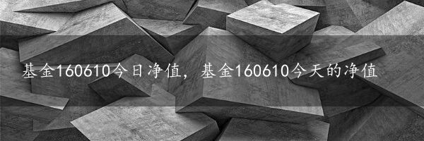 基金160610今日净值，基金160610今天的净值