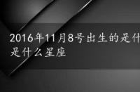 2016年11月8号出生的是什么星座，2016年11月8日是什么星座