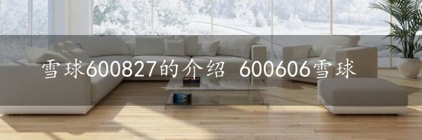 雪球600827的介绍 600606雪球