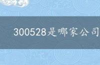 300528是哪家公司发行的 300528