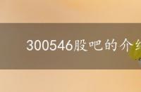 300546股吧的介绍 300549股吧