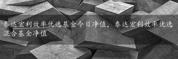 泰达宏利效率优选基金今日净值，泰达宏利效率优选混合基金净值