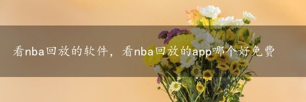 看nba回放的软件，看nba回放的app哪个好免费