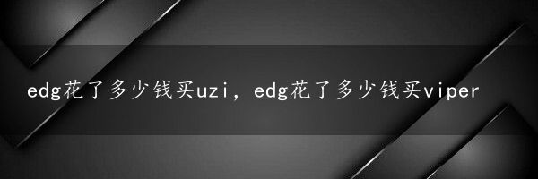 edg花了多少钱买uzi，edg花了多少钱买viper