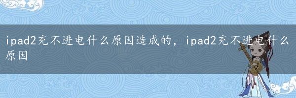 ipad2充不进电什么原因造成的，ipad2充不进电什么原因