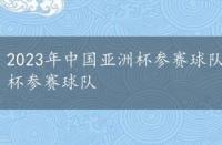 2023年中国亚洲杯参赛球队有哪些，2023年中国亚洲杯参赛球队