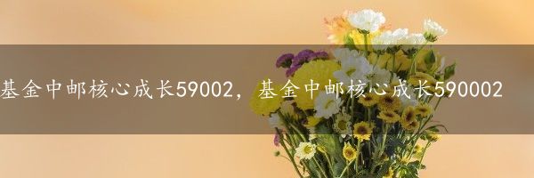 基金中邮核心成长59002，基金中邮核心成长590002