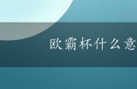 欧霸杯什么意思 欧霸杯