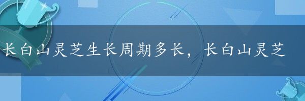 长白山灵芝生长周期多长，长白山灵芝