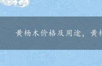 黄杨木价格及用途，黄杨木价格及价值介绍