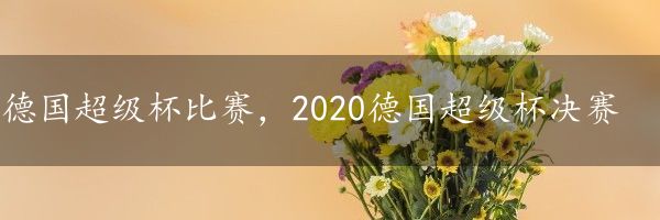 德国超级杯比赛，2020德国超级杯决赛