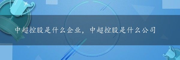 中超控股是什么企业，中超控股是什么公司