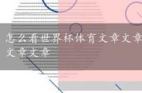 怎么看世界杯体育文章文章，怎么看世界杯比赛文章文章文章