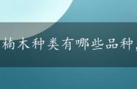 楠木种类有哪些品种，楠木种类有哪些