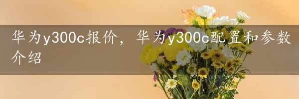 华为y300c报价，华为y300c配置和参数介绍