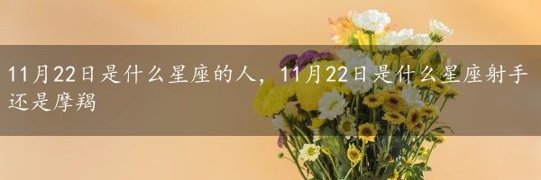 11月22日是什么星座的人，11月22日是什么星座射手还是摩羯