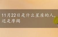 11月22日是什么星座的人，11月22日是什么星座射手还是摩羯