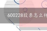 600228股票怎么样，600228股票