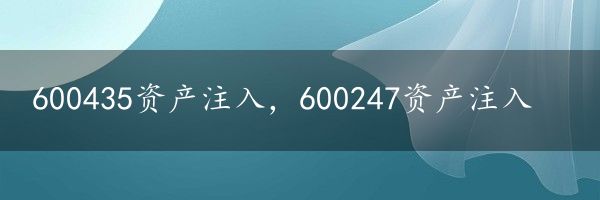 600435资产注入，600247资产注入