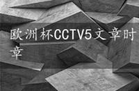 欧洲杯CCTV5文章时间，欧洲杯cctv5文章