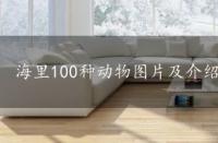 海里100种动物图片及介绍，海里100种动物图片