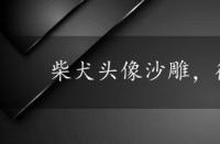 柴犬头像沙雕，微笑柴犬头像