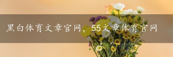 黑白体育文章官网，55文章体育官网