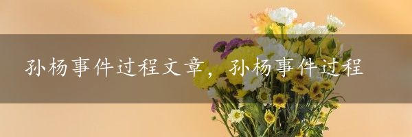 孙杨事件过程文章，孙杨事件过程