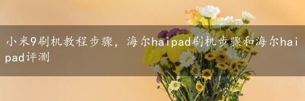 小米9刷机教程步骤，海尔haipad刷机步骤和海尔haipad评测