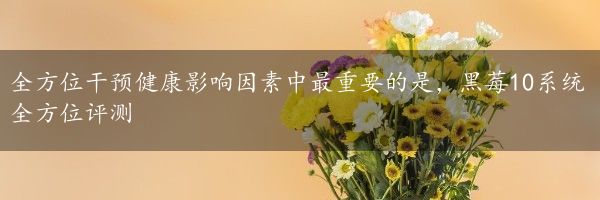 全方位干预健康影响因素中最重要的是，黑莓10系统全方位评测