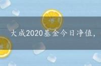 大成2020基金今日净值，002593基金今日净值