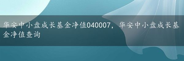 华安中小盘成长基金净值040007，华安中小盘成长基金净值查询