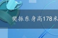 樊振东身高178米，樊振东身高