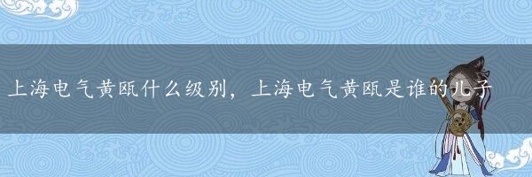 上海电气黄瓯什么级别，上海电气黄瓯是谁的儿子