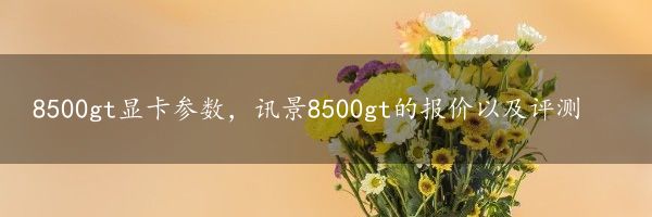 8500gt显卡参数，讯景8500gt的报价以及评测