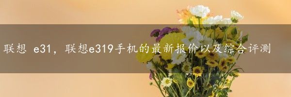 联想 e31，联想e319手机的最新报价以及综合评测