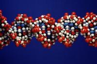 赛默斯瑞国际合作加强小分子研究