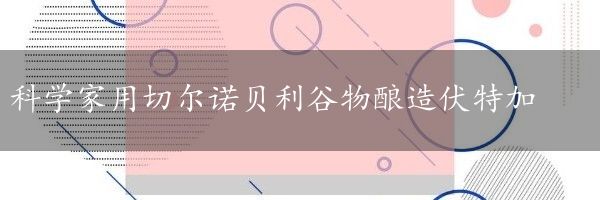 科学家用切尔诺贝利谷物酿造伏特加