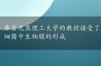 弗吉尼亚理工大学的教授接受了国家科学基金会的资助来研究细菌中生物膜的形成