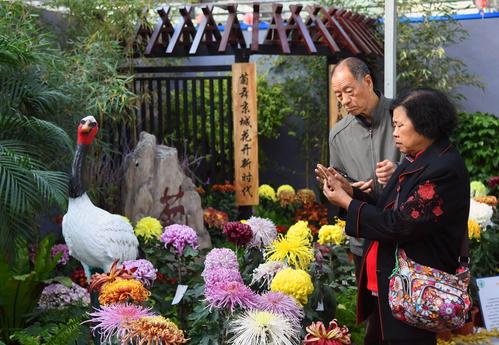 重阳节：丰富多彩的习俗与活动