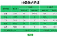 自费社保一年需交多少？全面解析自费社保费用，让您轻松了解!